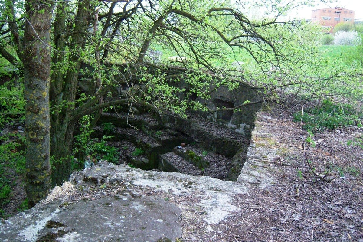 Domeikavos fortas (S662)