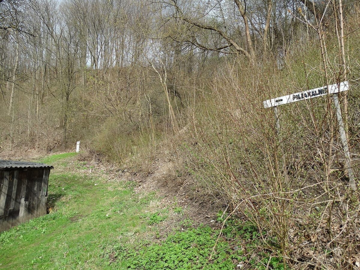 Eigulių piliakalnis