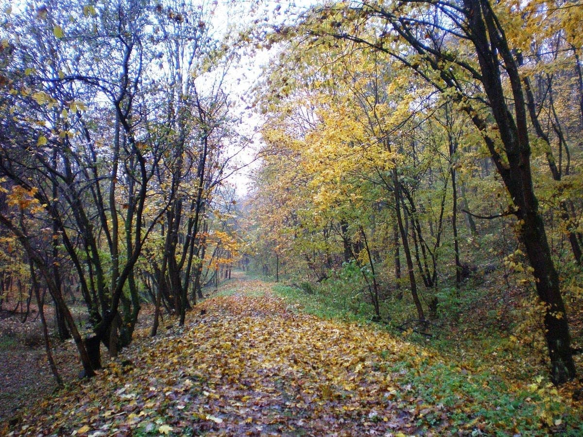 Jiesios kraštovaizdžio draustinis