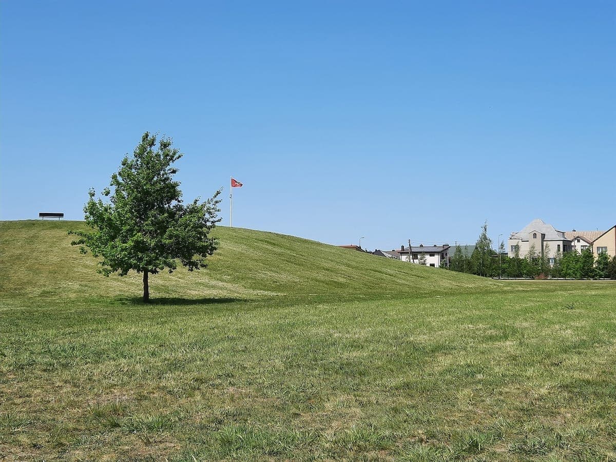 Narsiečių kalnas