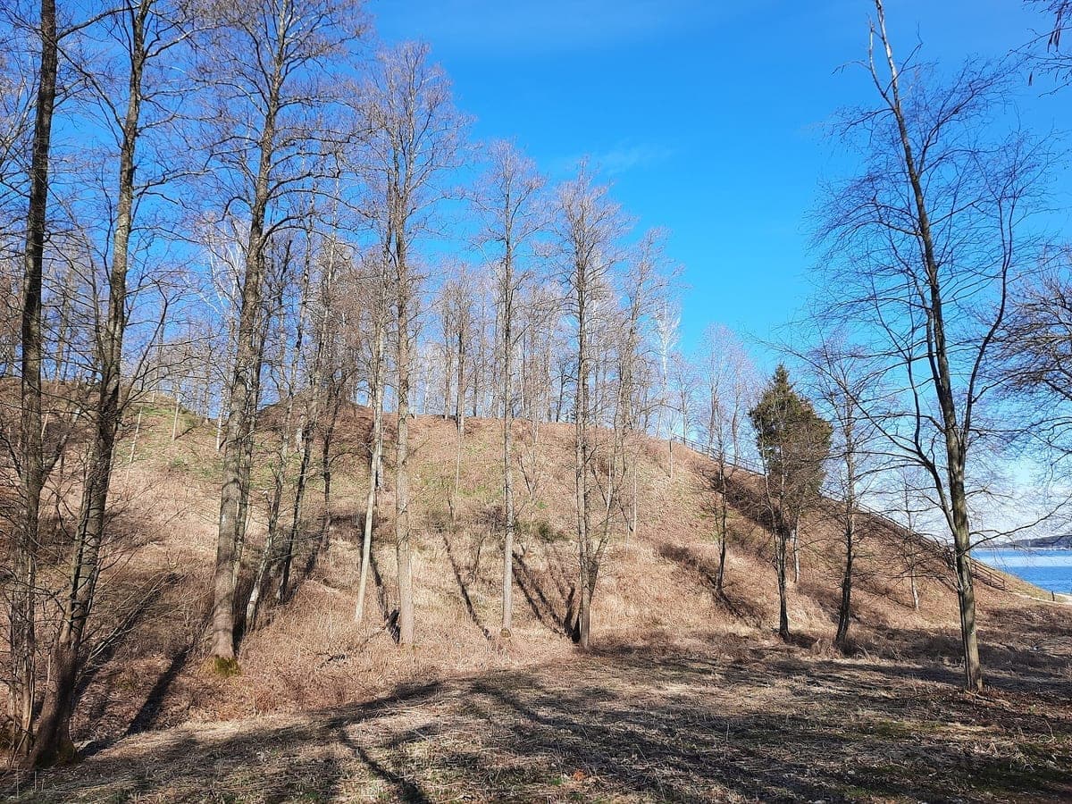 Pakalniškių piliakalnis