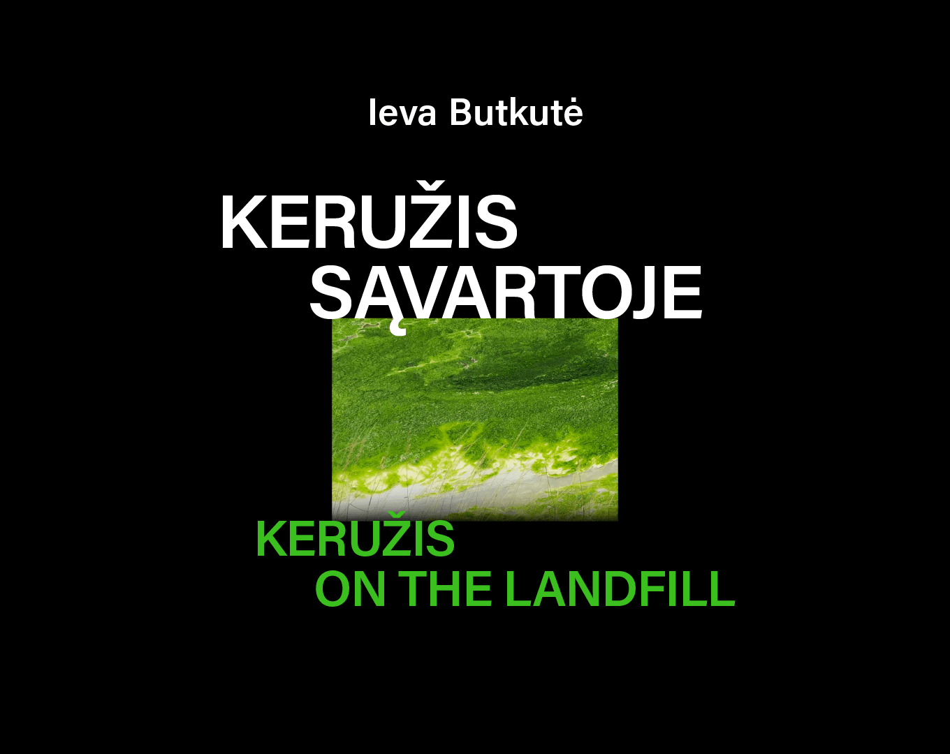 "THE YOUTH PLATFORM“: IEVA BUTKUTĖ'S EXHIBITION "KERUŽIS ON THE LANDFILL"